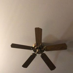 Meet your Posher, Saul